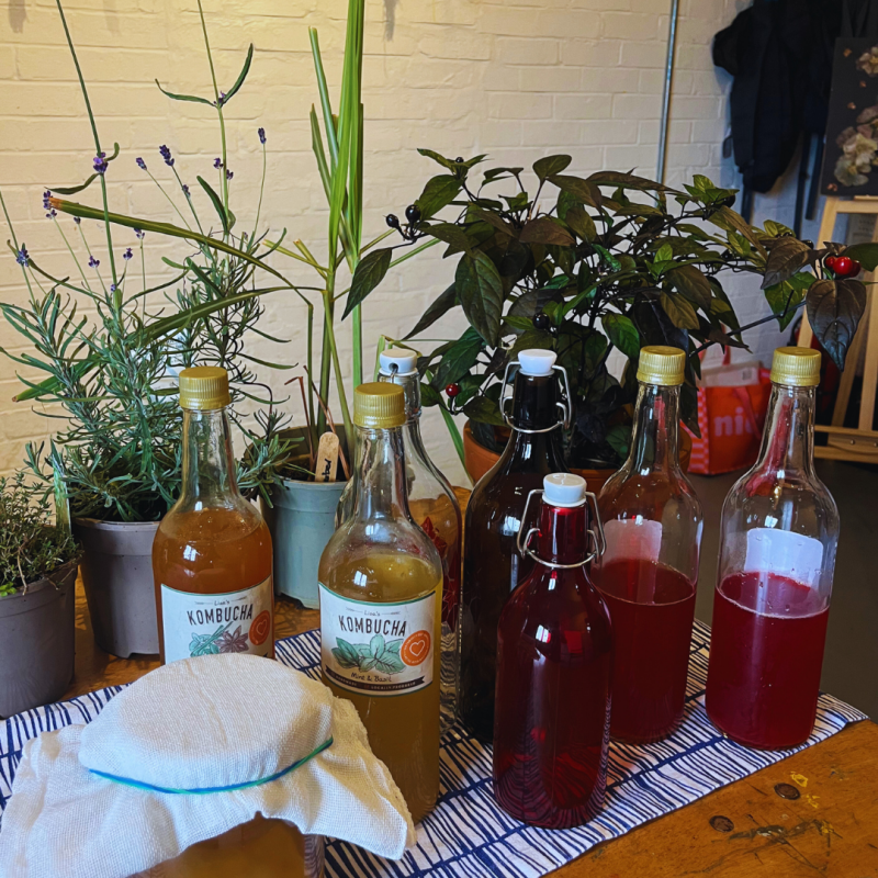 kombucha making class at our yard clitterhouse farm brent cross town (Brent Cross Town)
