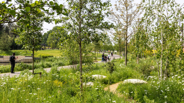 Claremont park in may (Brent Cross Town)