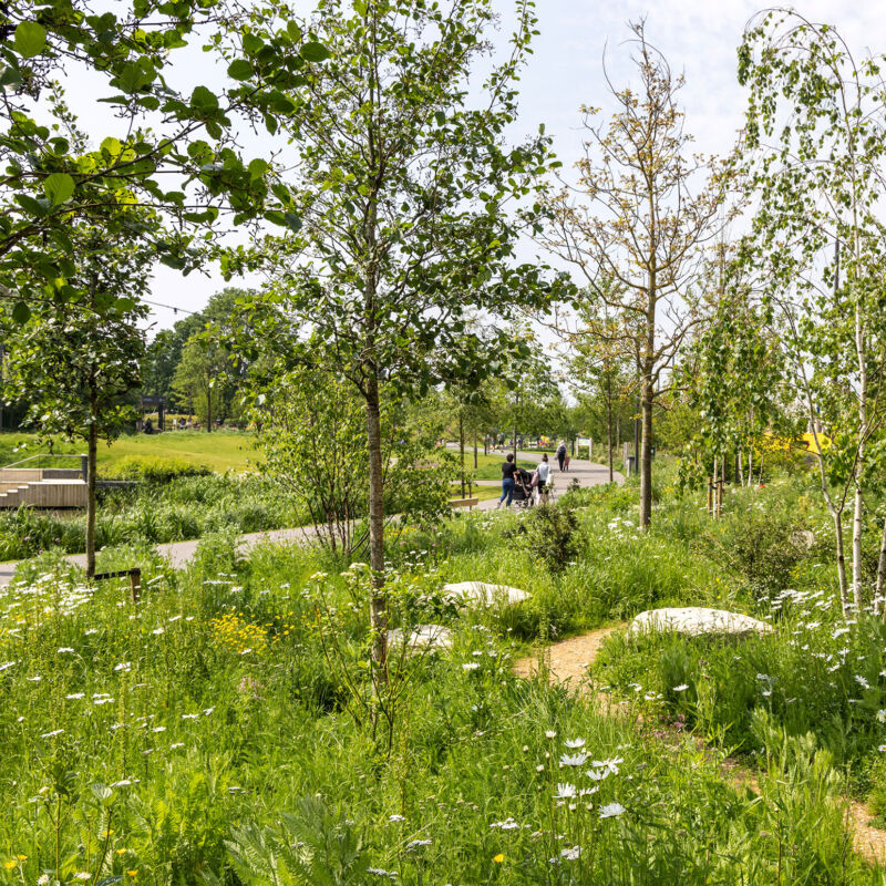 Claremont park in may