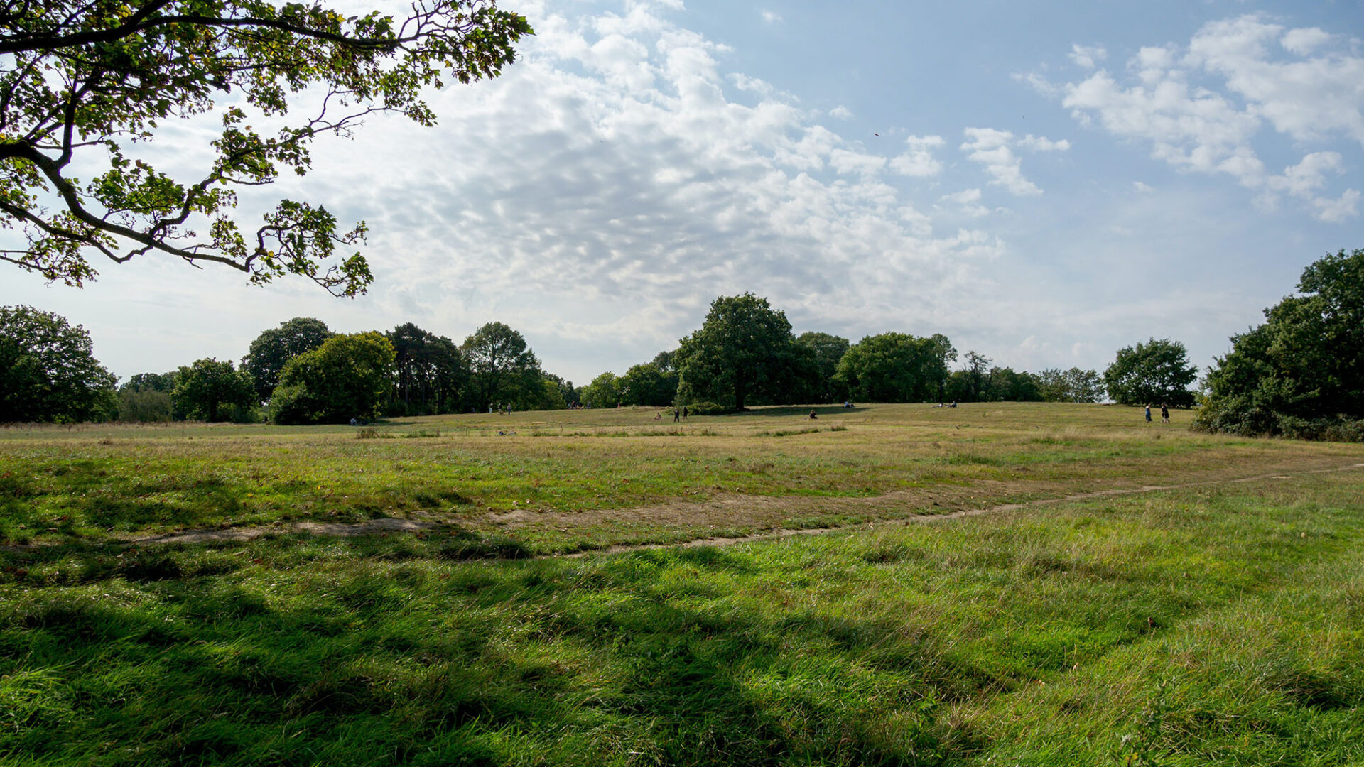 (Brent Cross Town)