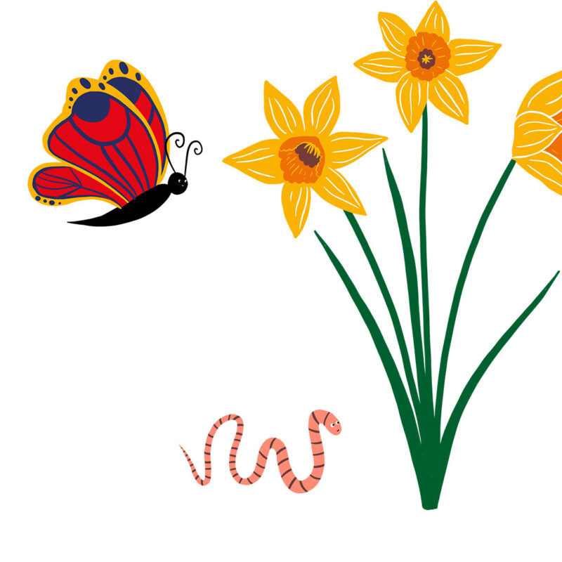 Nature trail illustrations
