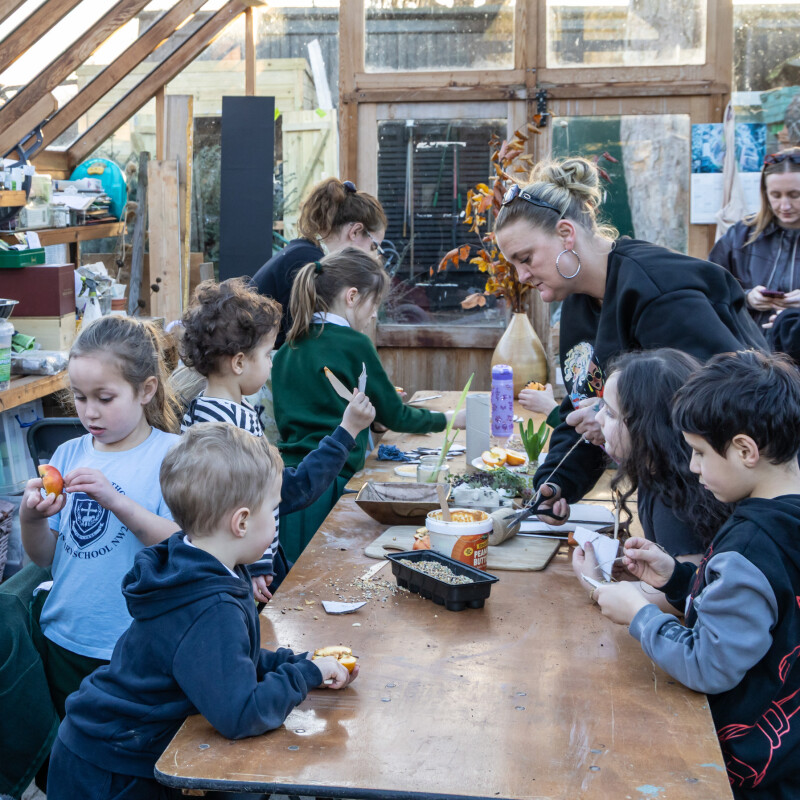 Nature workshop at Clitterhouse Farm in Brent Cross Town