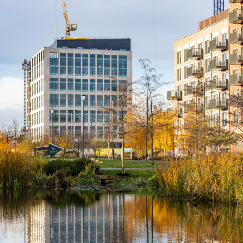 Photo of modern apartments at Brent Cross Town, viewed from the lake in Claremont Park. (Brent Cross Town)