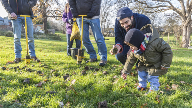 Bulb Planting on green space beside Claremont Way and Claremont Road, Brent Cross Town (Brent Cross Town)