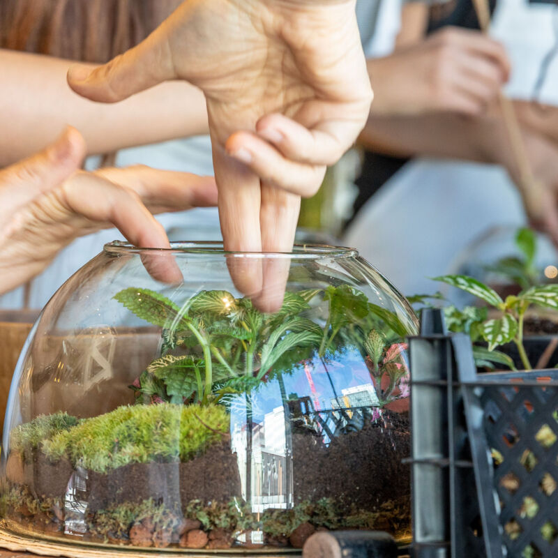 Terrarium workshop by the Botanical Boys (Brent Cross Town)