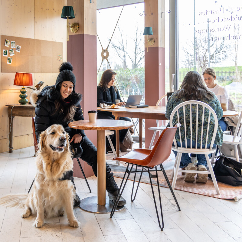 Photo of a woman and a dog in Arthur's Coffee House, Brent Cross Town. (Brent Cross Town)